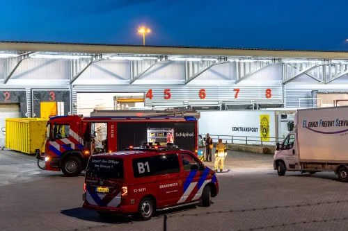 11434e02 2907 44f8 b9d5 e88f8042e78c