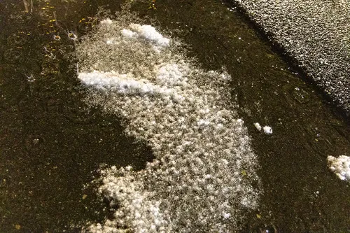 20240415 a9 vijfhuizen 08 1