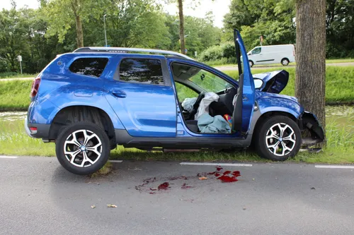 20240530181622 copy 1440x960