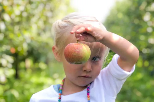 3226b3ad be17 4a1c 9729 49e2824a9231