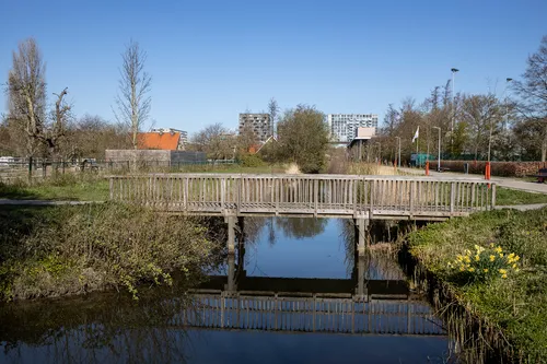 3z1a9728 stadspark wim meijer fotografie