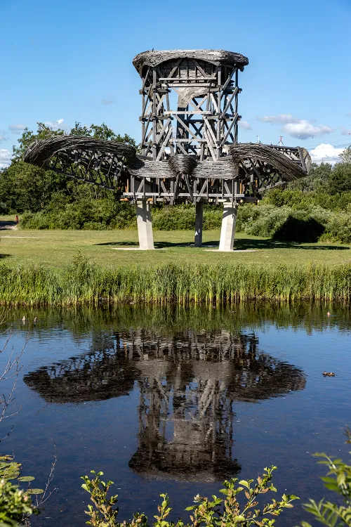 3z1a9817 kopieren waterlelie wim meijer fotografie