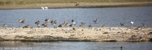 5i5a7700gruttos panorama