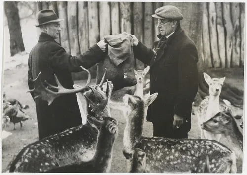 8318fdb3 d2e0 4e08 a3c2 c444609c7f48 0