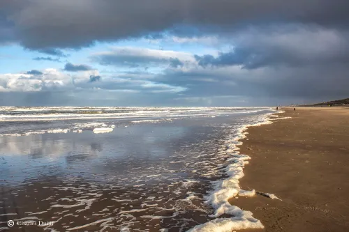 bloemendaalse strand 29 nov l