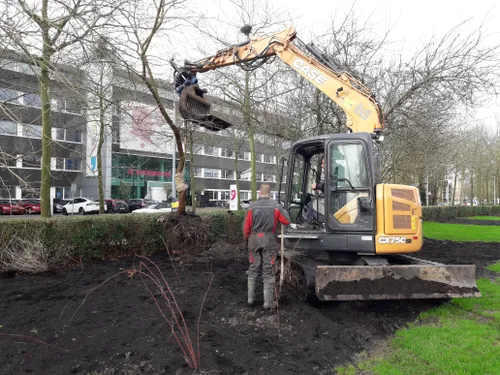 blog20 2grotebomen redden