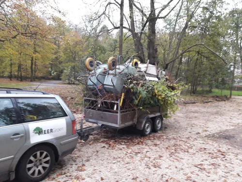 deoogst van 1 dag 2000 zaailingen