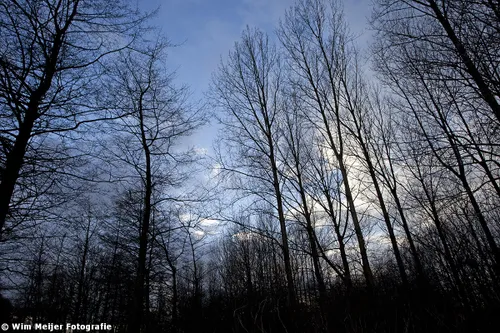 haarlemmermeerse bos wim meijer fotografie 01