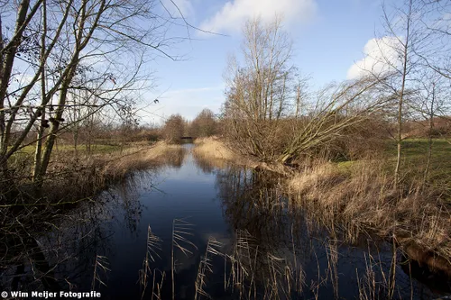 haarlemmermeerse bos wim meijer fotografie 02