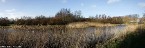 haarlemmermeerse bos wim meijer fotografie 07