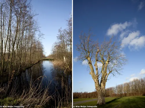 haarlemmermeerse bos wim meijer fotografie 09