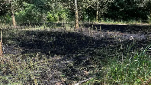 img 20230608 wa0081 1