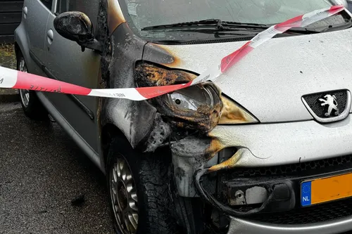 img 20231215 wa0034 kopieren