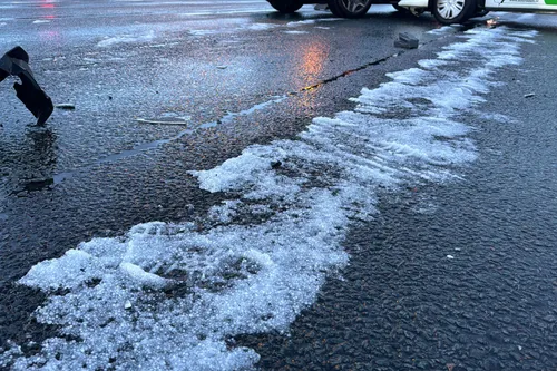 img 20240324 wa0013 kopieren