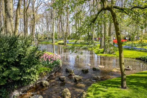 keukenhof beekje