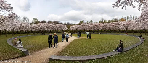 panorama bloesempark wim meijer fotografie