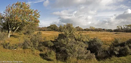 panorama duinen 1