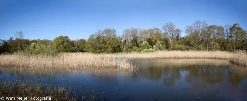 panorama vijver geversduin 1 wim meijer fotografie small