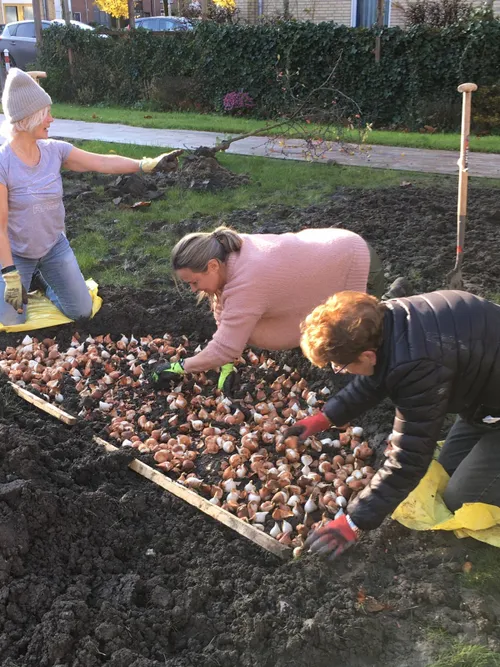rotaryclub haarlemmermeer schiphol planten bloembollen in de tuin van woon en zorgcentrum de horizon rotaryclub haarlemmermeer schiphol