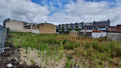 terrein concourslaan tuinweg hoofddorp 3 wim meijer fotografie