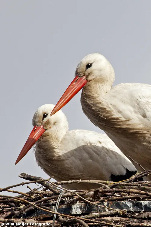 tumblr mw1nwpepga1svvyvco1 1280