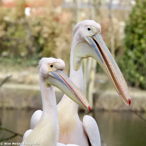 tumblr mw1nwpepga1svvyvco9 1280