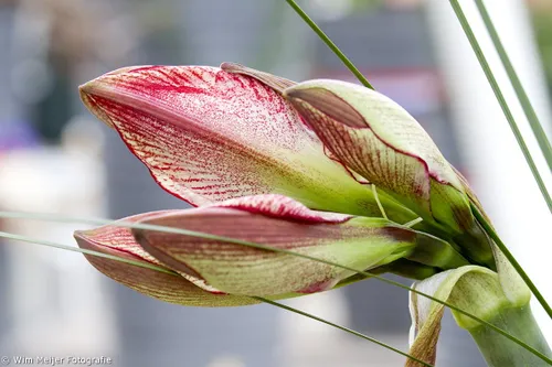 tumblr n55c8kak6p1svvyvco1 r1 1280