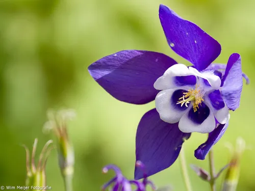 tumblr n5b1ulaw5o1svvyvco1 1280