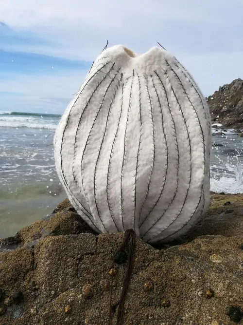 wabi sabi bretagne kopie