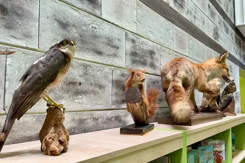 whatsapp image 2023 05 20 at 094134 1