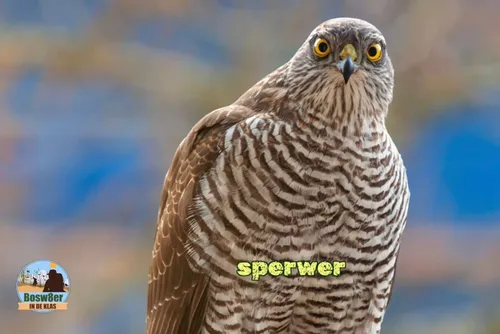 whatsapp image 2023 06 04 at 151524 1