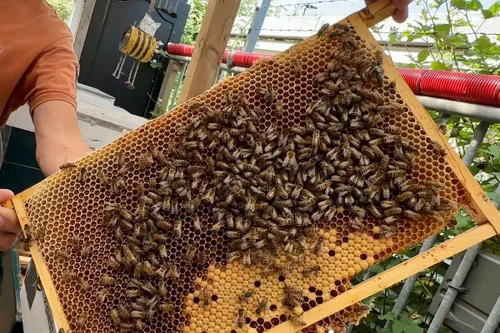 whatsapp image 2023 06 17 at 123337 1