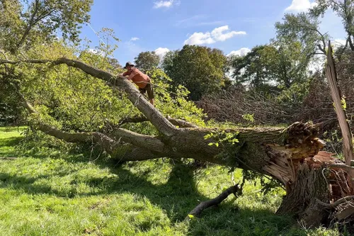 whatsapp image 2023 09 17 at 195233