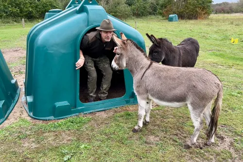 whatsapp image 2023 10 21 at 204603