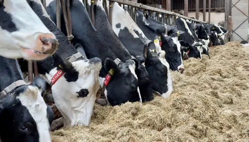 whatsapp image 2023 11 04 at 171805