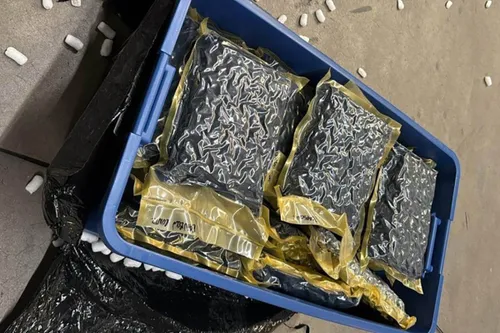 images e4529763e36ac6142fd11be02e9e709b kopieren