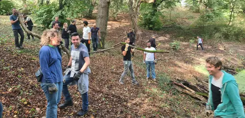heem stede 20  spet  opknappen  bos bij Belvedere