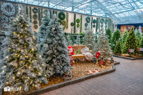 kerstbomen