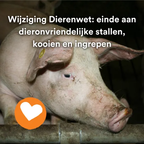 195492675 336131401214154 1233240251203245838 n