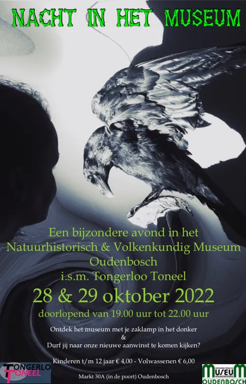 310616454 586854383236023 6661524004206046738 n 1