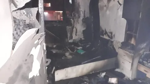 82024472 622746951800718 4802746895560605696 n