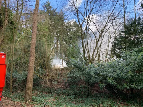 89025701 1082915408733362 2221253147282636800 n