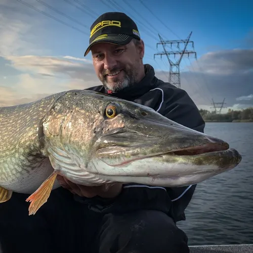 boenstroo snoek foto fb