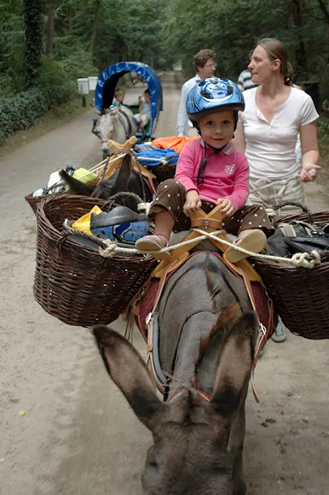 ezelwandeling1 1