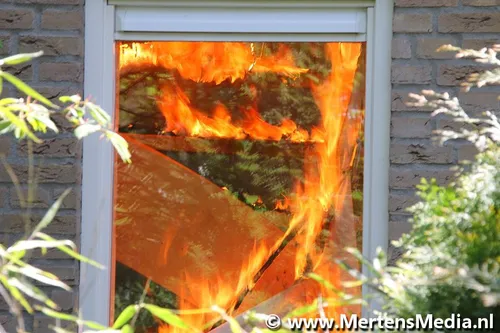 img 8756 bordermaker