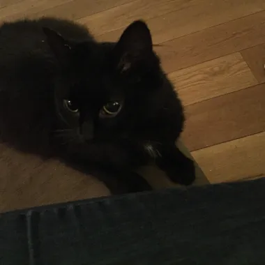 marley e1473325046264