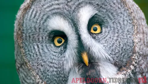 ontwerp zonder titel 2021 09 04t072722498 1