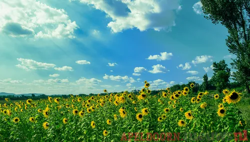 ontwerp zonder titel 21 2