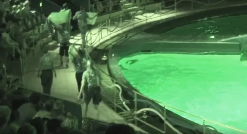 protest dolfinarium 2