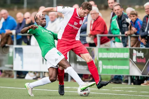 vvog ijsselmeervogels 4 ronald bonestroo